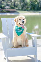 20260221-Bailey-Paws-of-Hope-5852