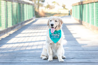 20260221-Bailey-Paws-of-Hope-5862