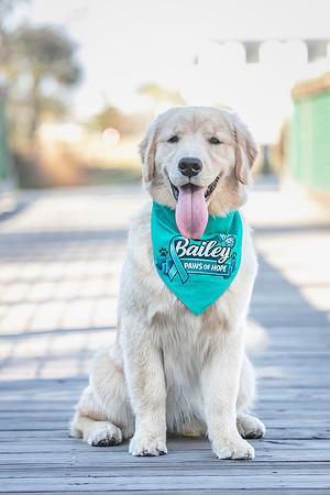 20260221-Bailey-Paws-of-Hope-5866
