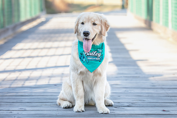20260221-Bailey-Paws-of-Hope-5863
