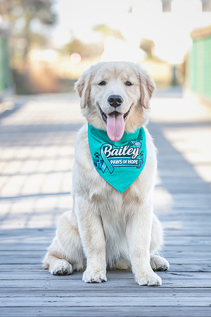 20260221-Bailey-Paws-of-Hope-5870