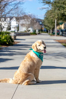 20260221-Bailey-Paws-of-Hope-5857