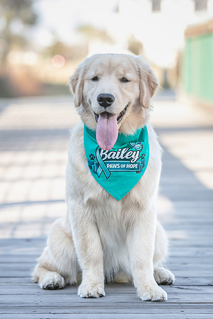 20260221-Bailey-Paws-of-Hope-5873-