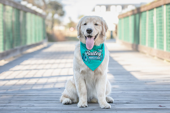 20260221-Bailey-Paws-of-Hope-5877-
