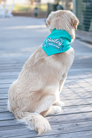 20260221-Bailey-Paws-of-Hope-5904