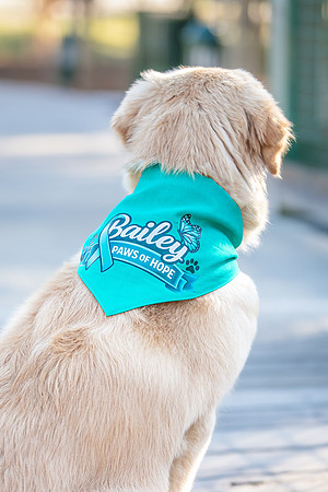 20260221-Bailey-Paws-of-Hope-5907-