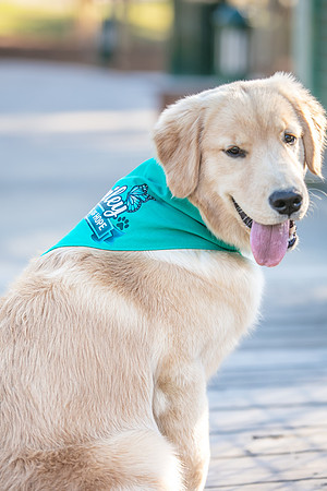 20260221-Bailey-Paws-of-Hope-5909-
