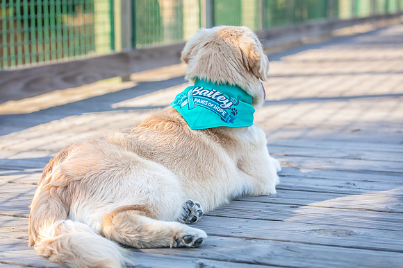 20260221-Bailey-Paws-of-Hope-5923-