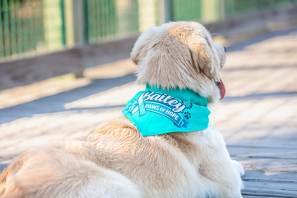 20260221-Bailey-Paws-of-Hope-5924