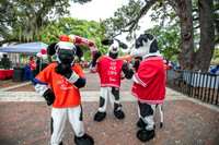 20260314-ALS-Association-Walk-8275
