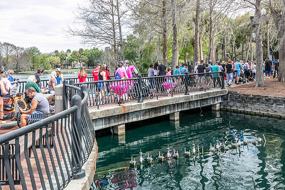 20260314-ALS-Association-Walk-8559