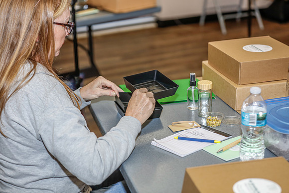 20260324-Plant-Prana-Wellness-Workshop-9349
