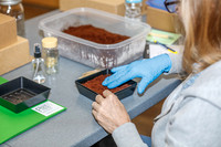 20260324-Plant-Prana-Wellness-Workshop-9354
