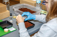 20260324-Plant-Prana-Wellness-Workshop-9359