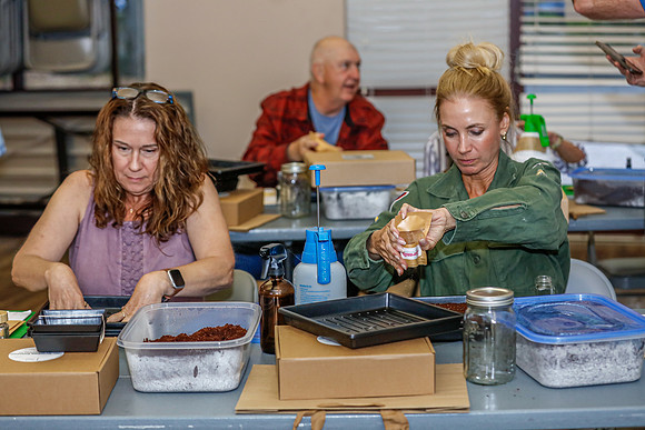 20260324-Plant-Prana-Wellness-Workshop-9412