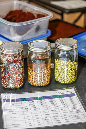 20260324-Plant-Prana-Wellness-Workshop-9415