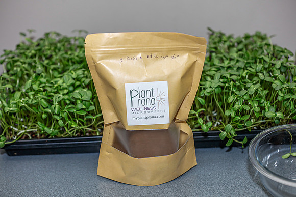 20260324-Plant-Prana-Wellness-Workshop-9418