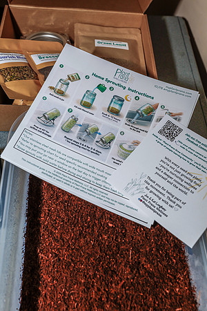 20260324-Plant-Prana-Wellness-Workshop-9434