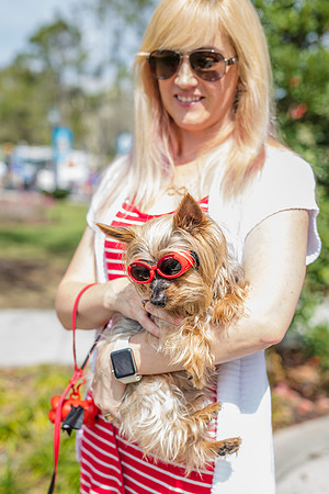 Celebration-Posh-Pooch-2263