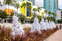 Tampa-3906