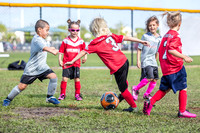 Celebration-Youth-Soccer-Spring-2018-3777