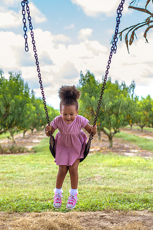 Fall-Fest-Southern-Hill-Farms-7270S