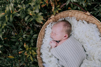 Newborn Photography
