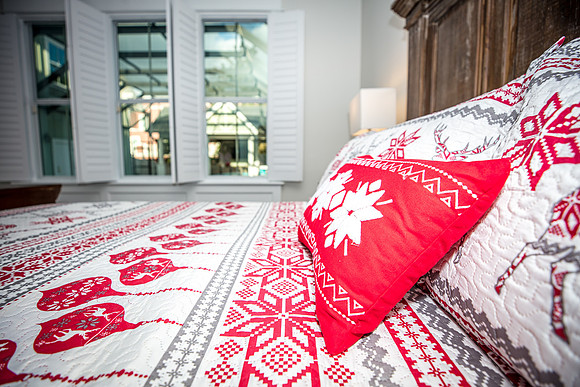 Celebration-Holiday-Home-Tour-2022_Stop4-515-Longmeadows-St-6768