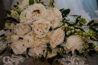 DSC02779-
