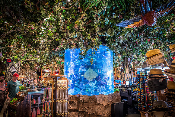 Disney-Springs-6377.jpg