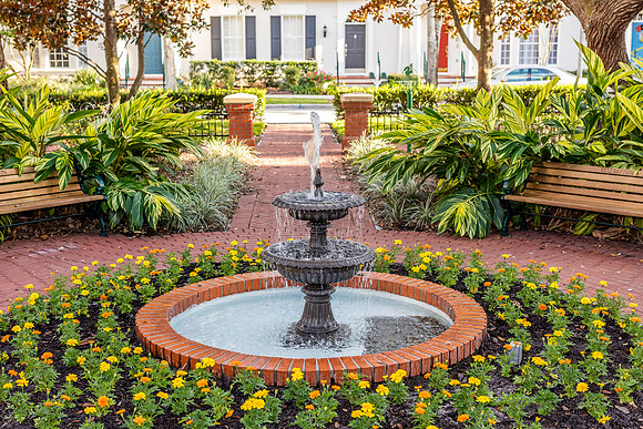 Celebration-Savannah-Square-7589