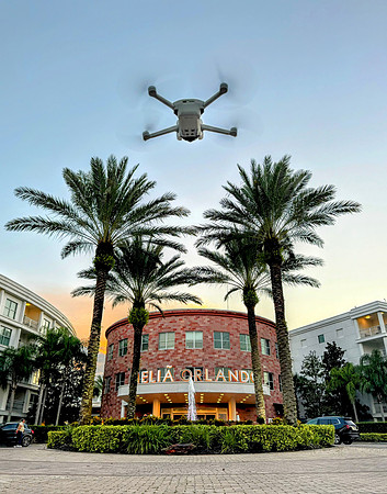 Melia Celebration FL