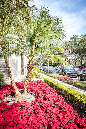 Celebration-Holiday-Home-Tour-2022_downtown-6723