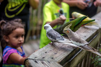 Wild Florida Airboats & Gator Park