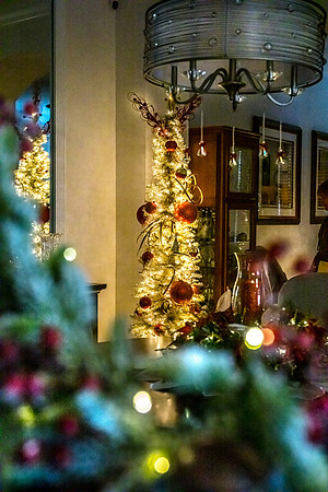 Celebration-Holiday-Home-Tour-2022_Stop2-300-Charleston-Pl-6586