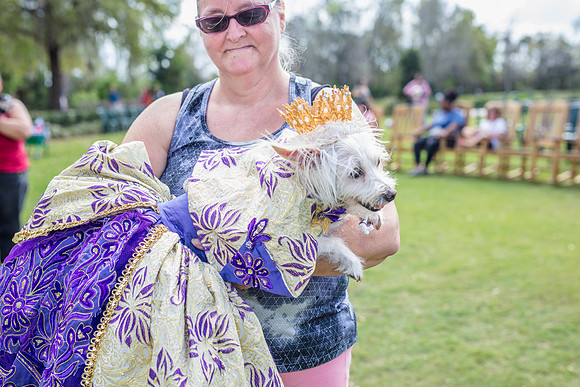 Celebration-Posh-Pooch-2333