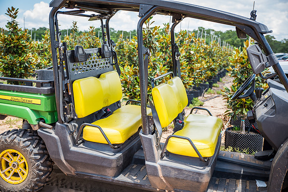Southern-Hills-Blueberry-Farm-1416.jpg