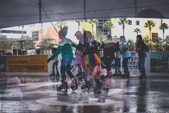 Tampa-3915ice