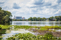 Leu Gardens Orlando