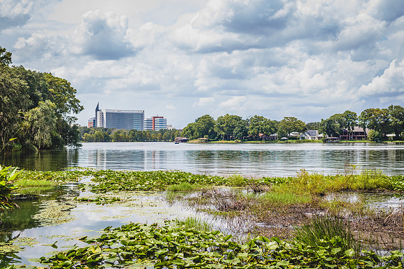 Leu Gardens Orlando