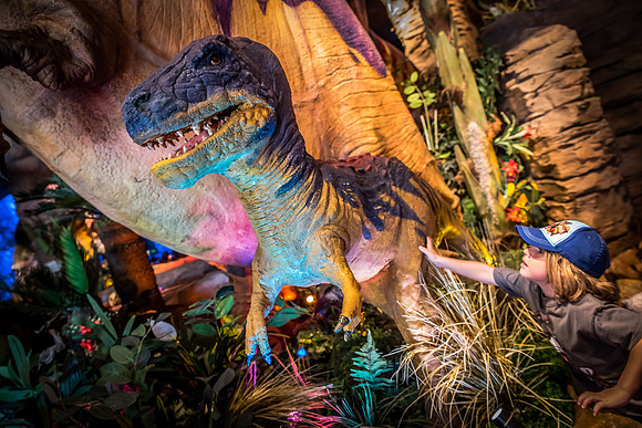 Disney-Springs-6326.jpg