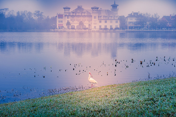 Celebration-fog-morning_9495