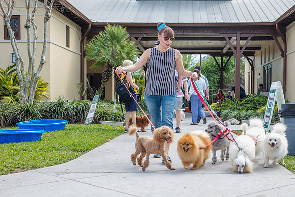 Celebration-Posh-Pooch-2327
