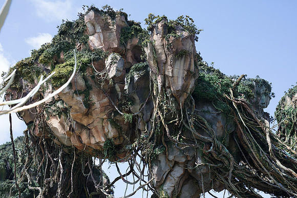 Pandora-Disney-Animal-Kingdom-2775.jpg