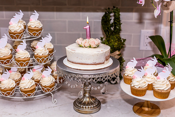 Sonoma-Grace-1st-Birthday-4946-