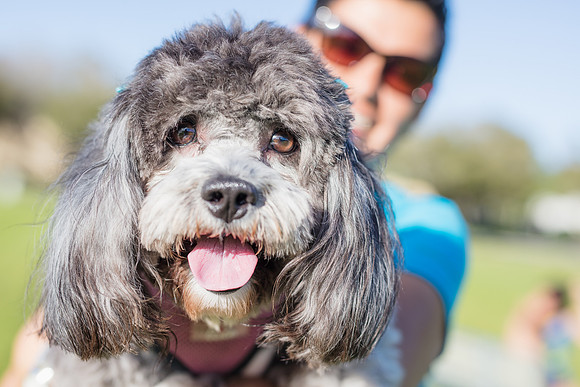Eunice_Soccer_Session-0083_dog.jpg