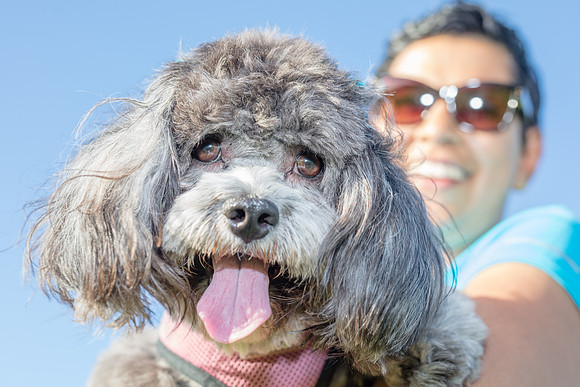 Eunice_Soccer_Session-0090_dog.jpg