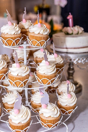 Sonoma-Grace-1st-Birthday-5004