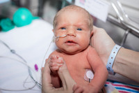 Newborn Photography