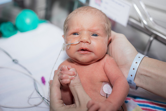 Newborn Photography